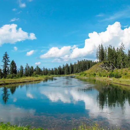 Barbara-1 By Interhome Appartamento Fügen