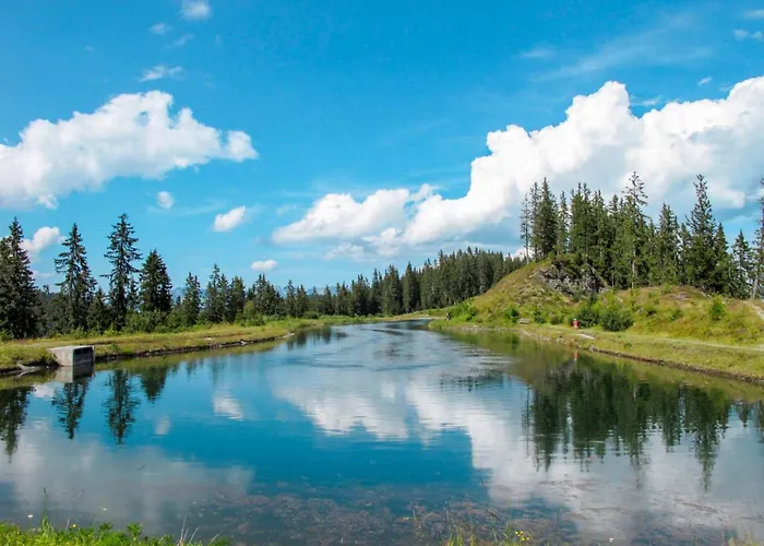 Barbara-1 By Interhome Appartement Fügen